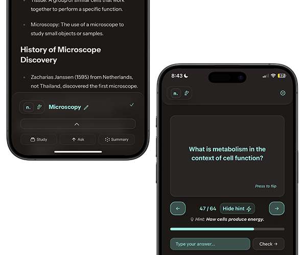 Notelier on mobile devices